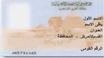 تسهيلات جديدة.. بطاقة الرقم القومي 2025 تصبح أسهل مع الحجز أونلاين مباشرة من المتاجر الكبرى